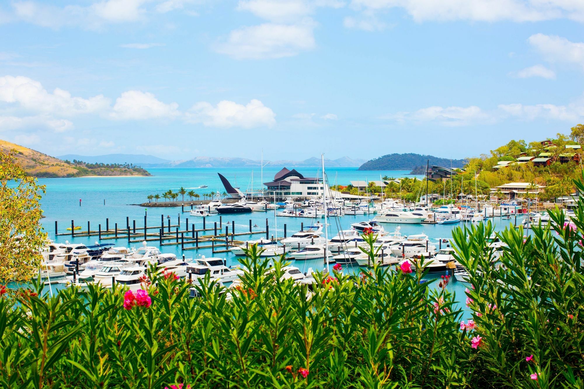 Palm Bungalows Hamilton Island Exteriör bild