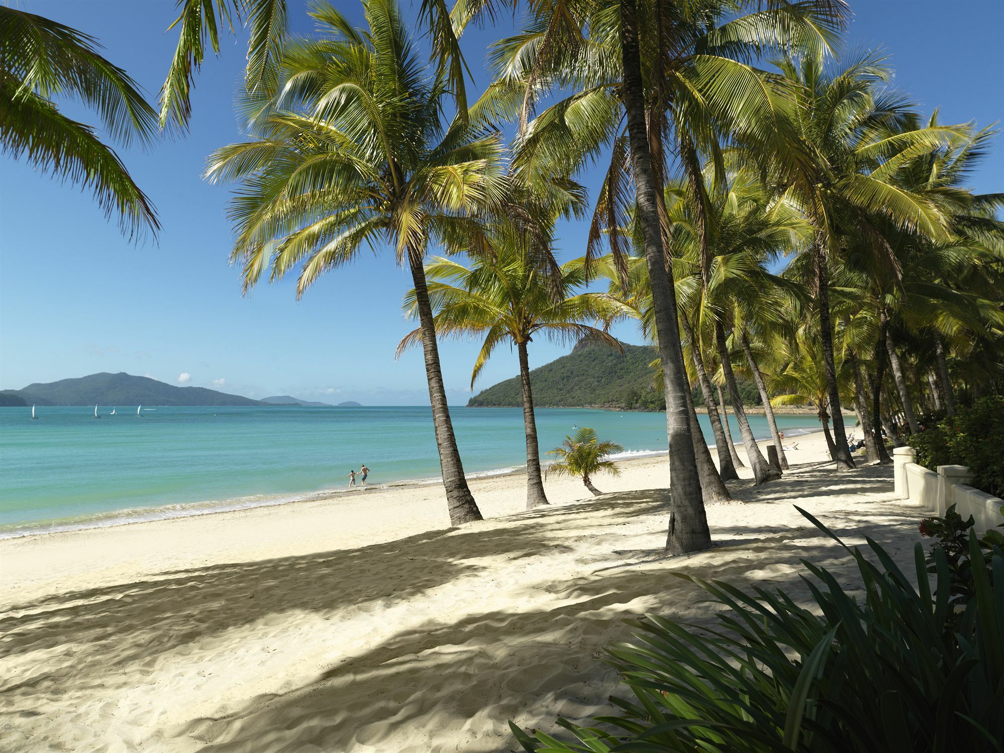 Palm Bungalows Hamilton Island Exteriör bild