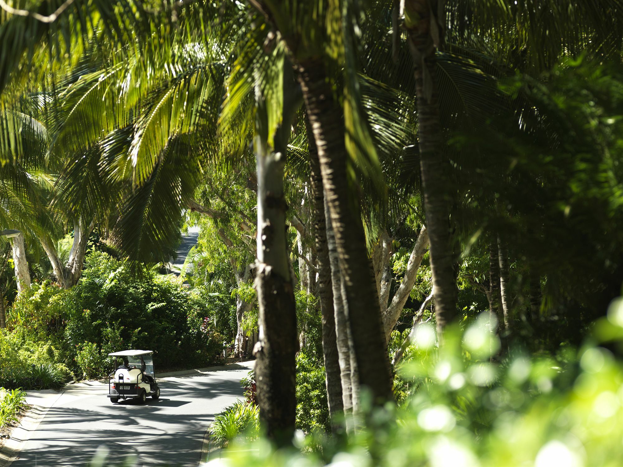 Palm Bungalows Hamilton Island Exteriör bild